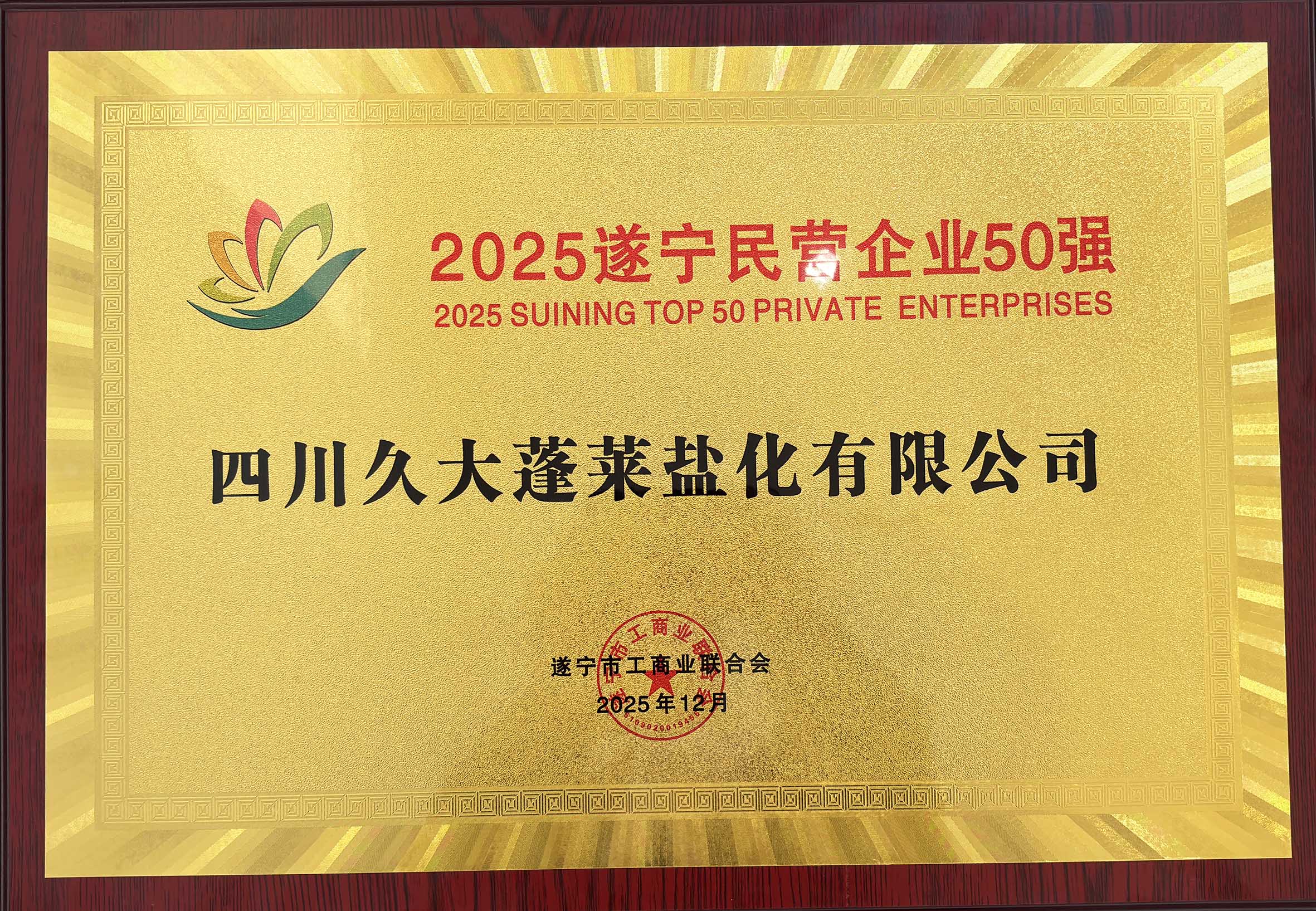 遂宁民营企业50强